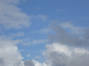White Blue Grey (1)