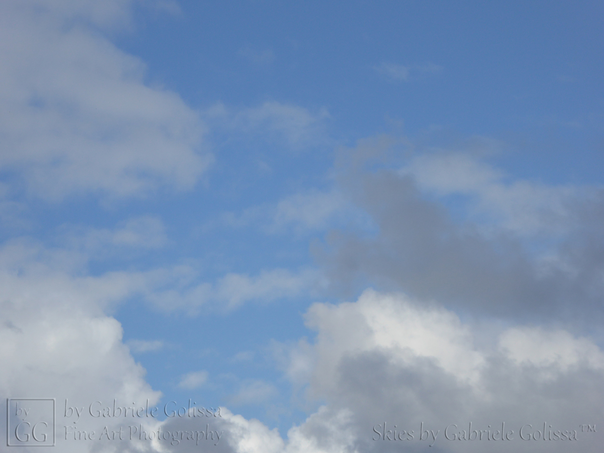 “White Blue Grey 1