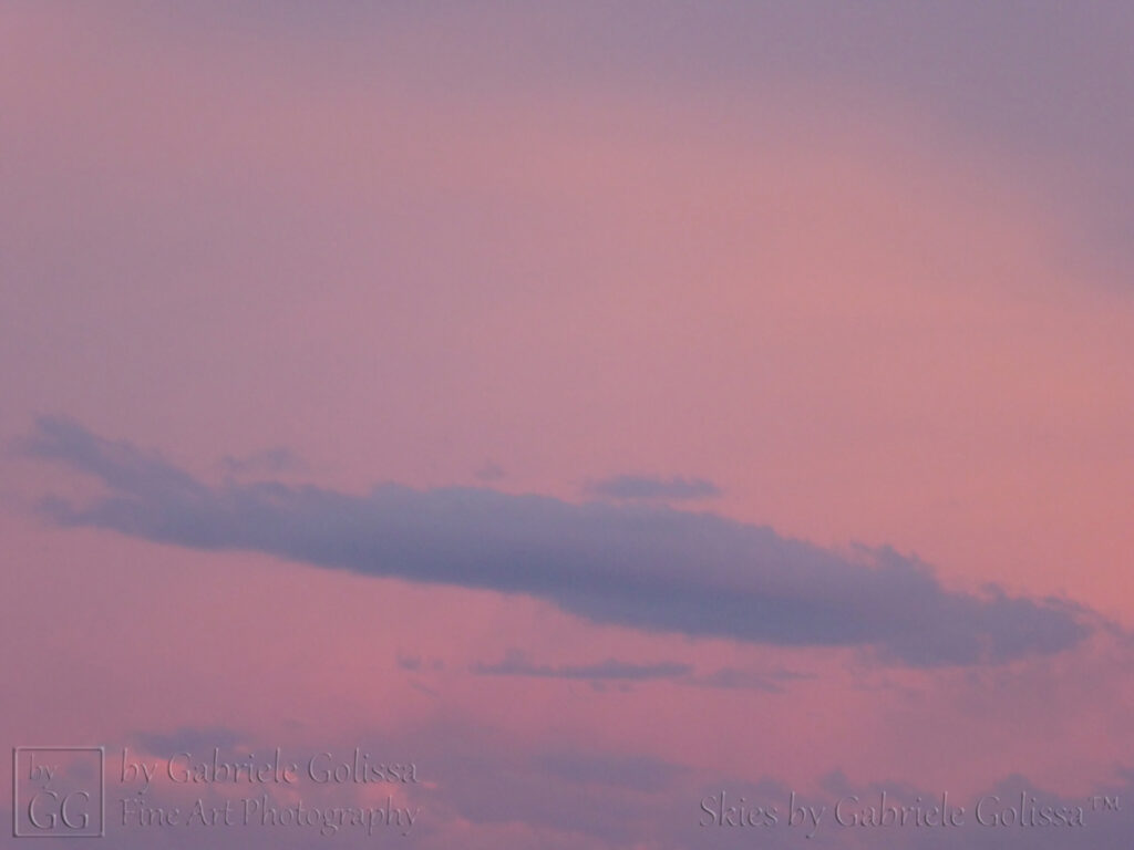 Rosy Hour (1)
