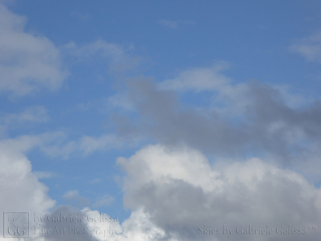 White Blue Grey (2)