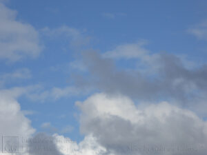White Blue Grey (2)
