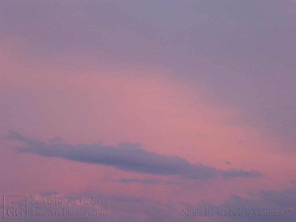 Rosy Hour (2)