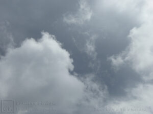 Partly Cloudy