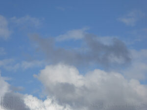 White Blue Grey (3)
