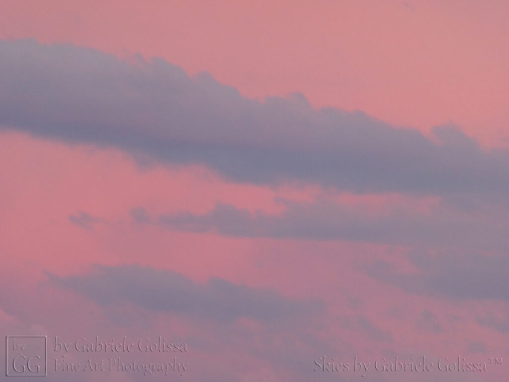 Rosy Hour (3)