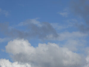White Blue Grey (4)