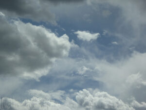 White Blue Grey (5)