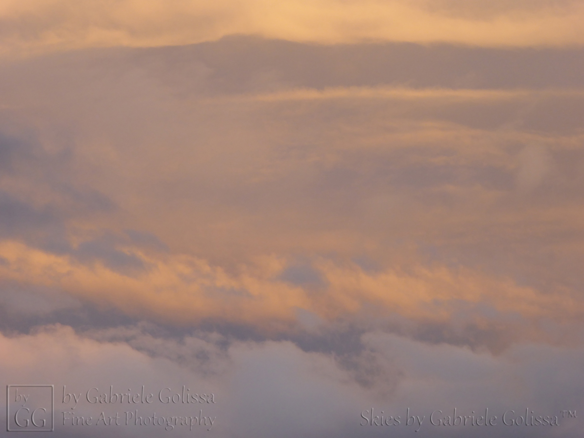 “Orange and Grey 1