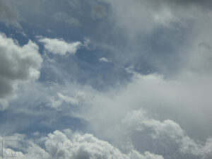 White Blue Grey (6)