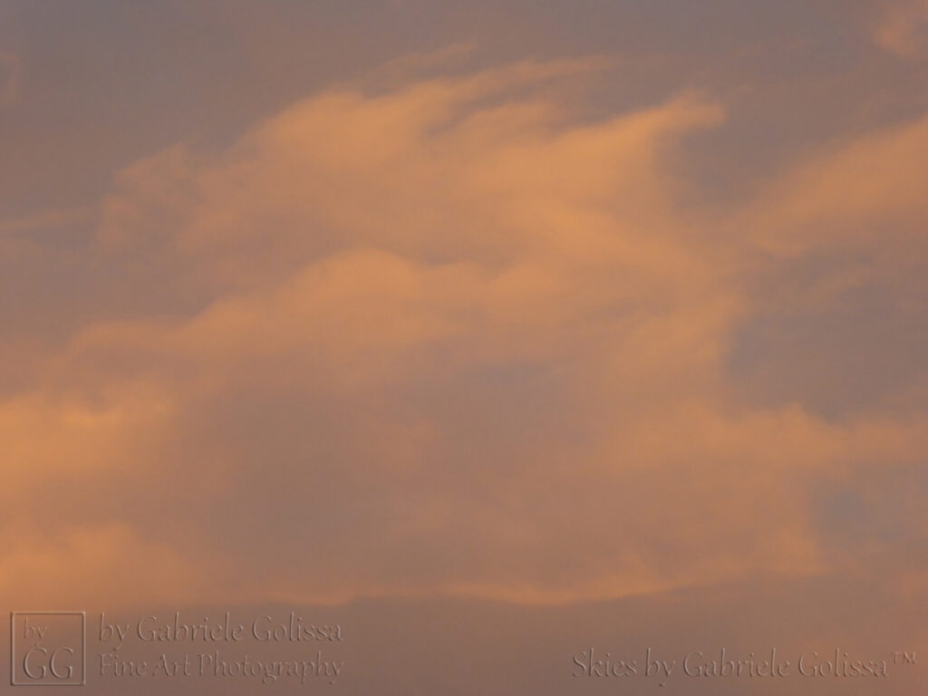Orange on Grey