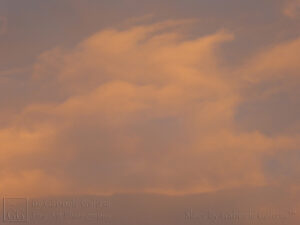 Orange on Grey