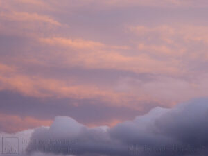 Orange and Grey (2)