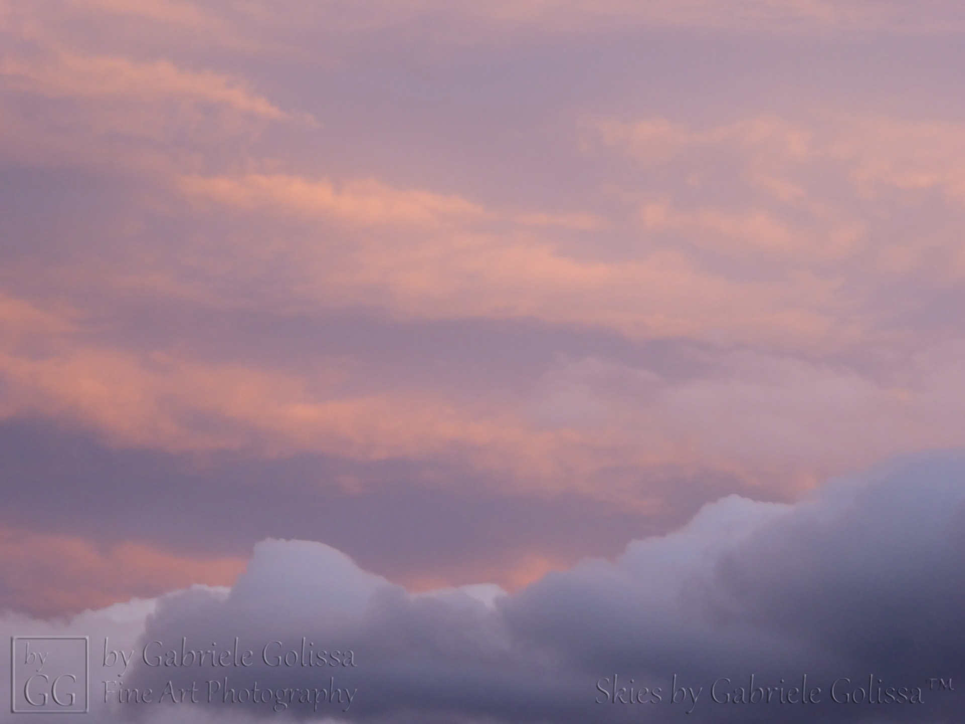“Orange and Grey 2