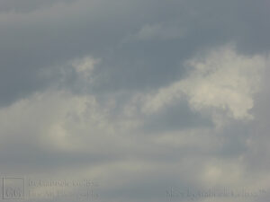 Shades of Lilac (1)