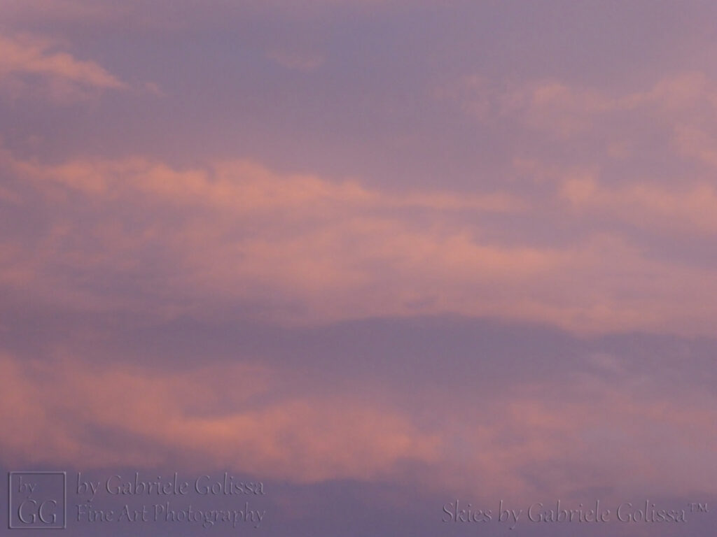 Orange and Grey (3)