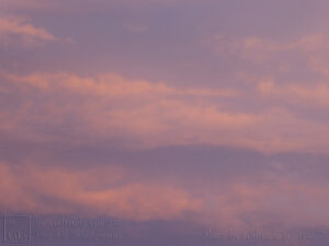 Orange and Grey (3)