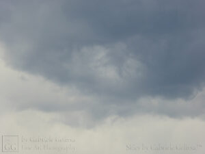 Grey Afternoon