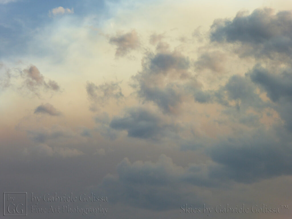 Looks like a Sandstorm (1)