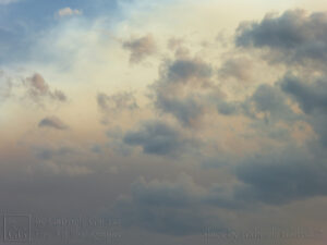 Looks like a Sandstorm (1)