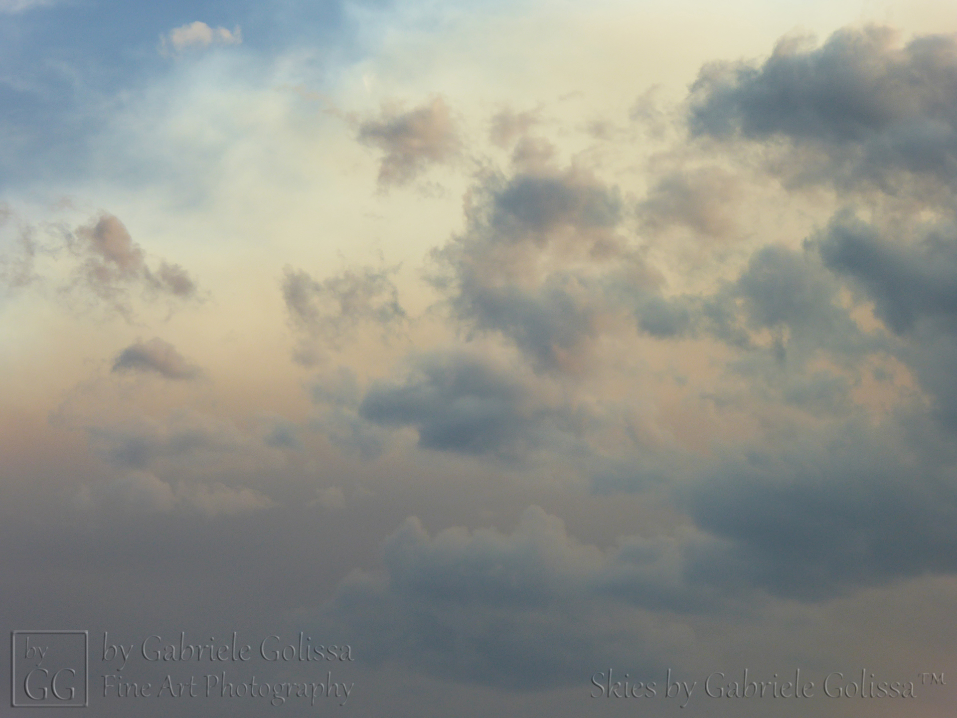 “Looks like a Sandstorm 1