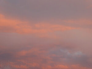 Orange and Grey (5)