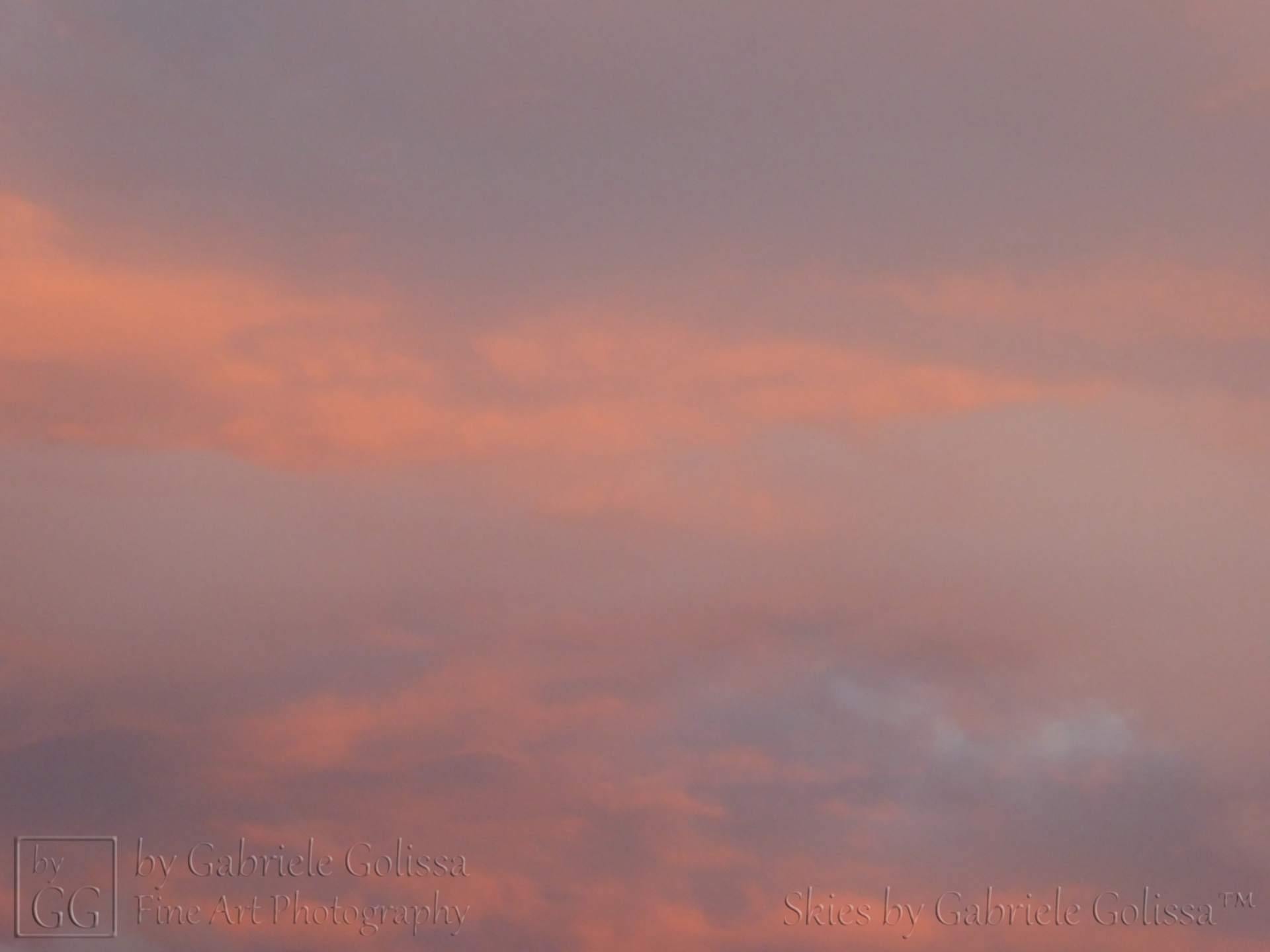 “Orange and Grey 5