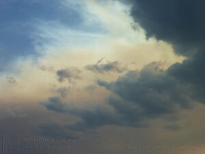 Looks like a Sandstorm (2)