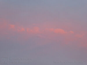 Rosy Clouds