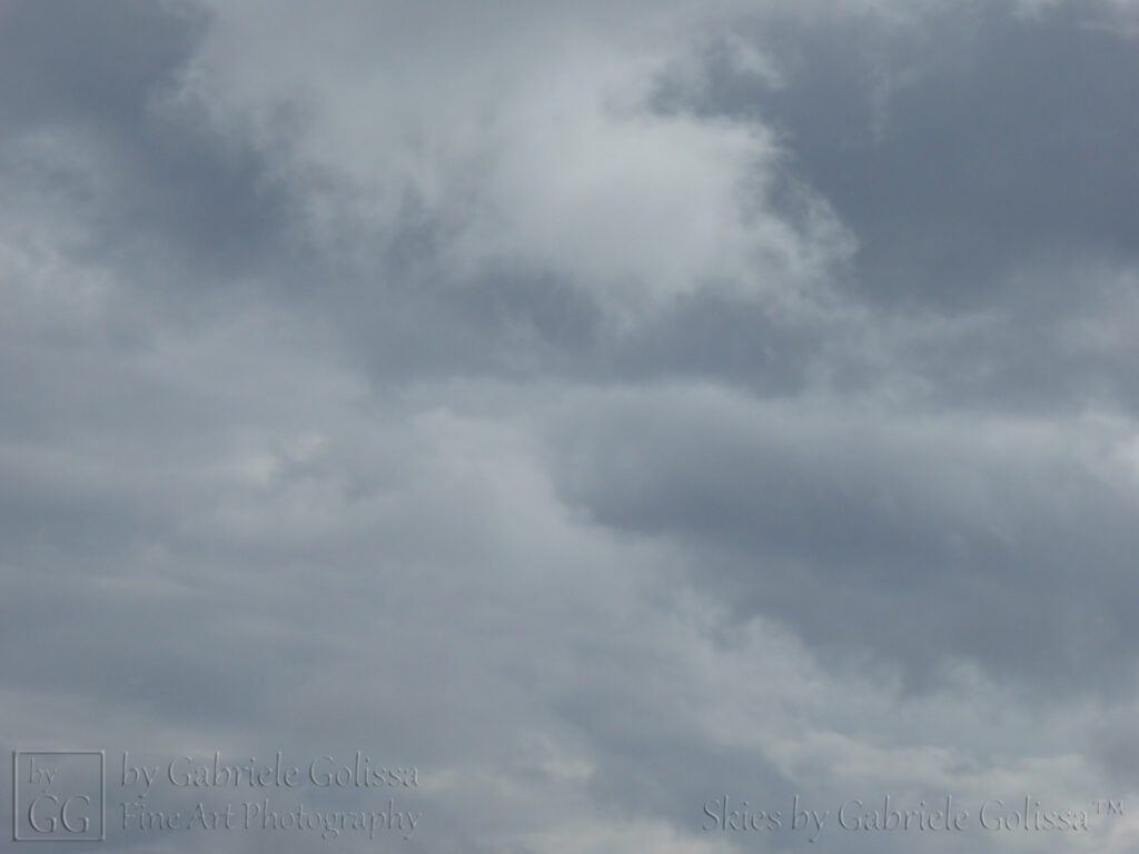 Shades of Grey