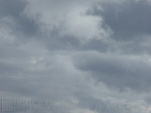 Shades of Grey