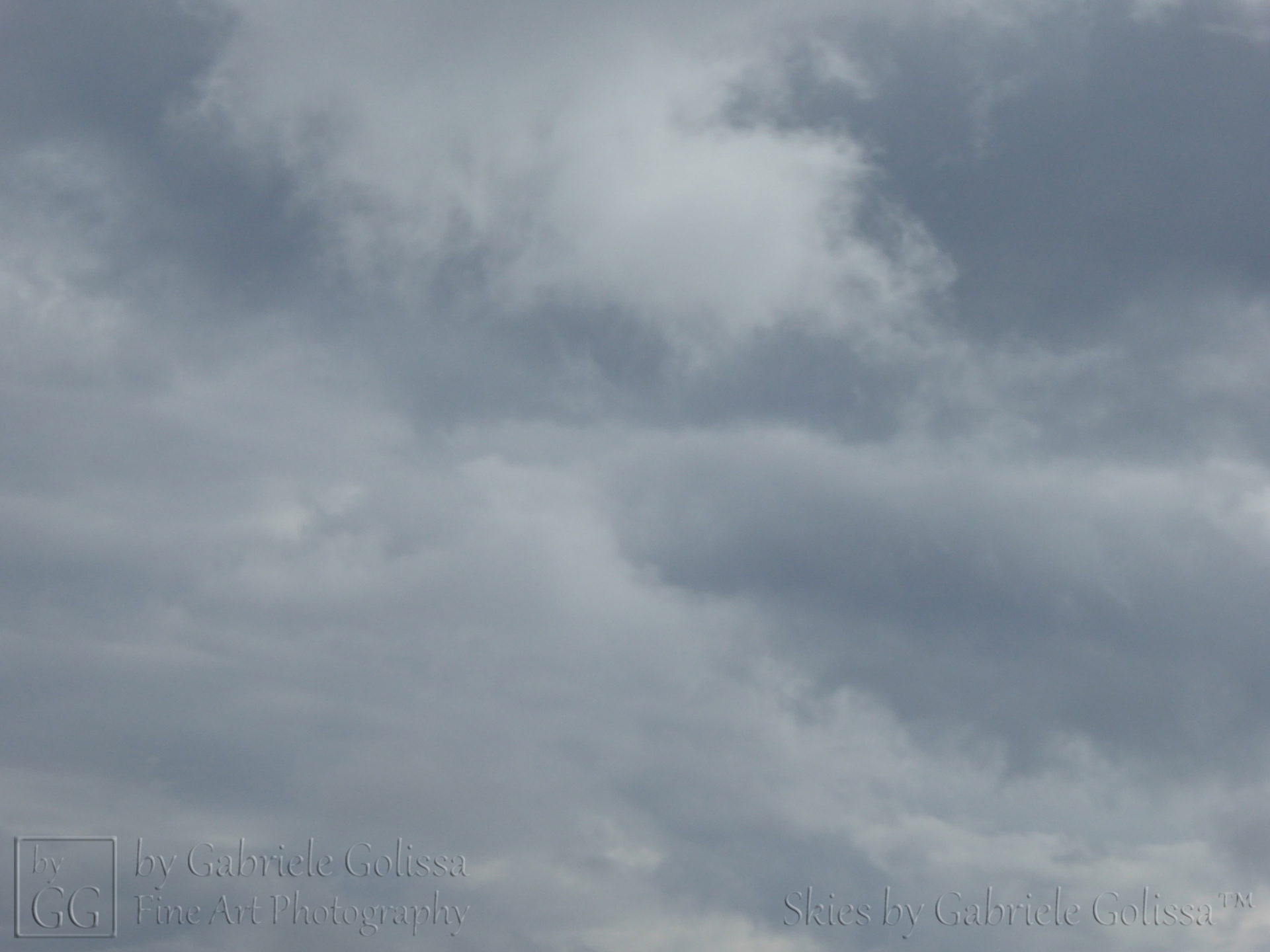 “Shades of Grey