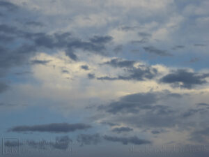Before the Storm (1)