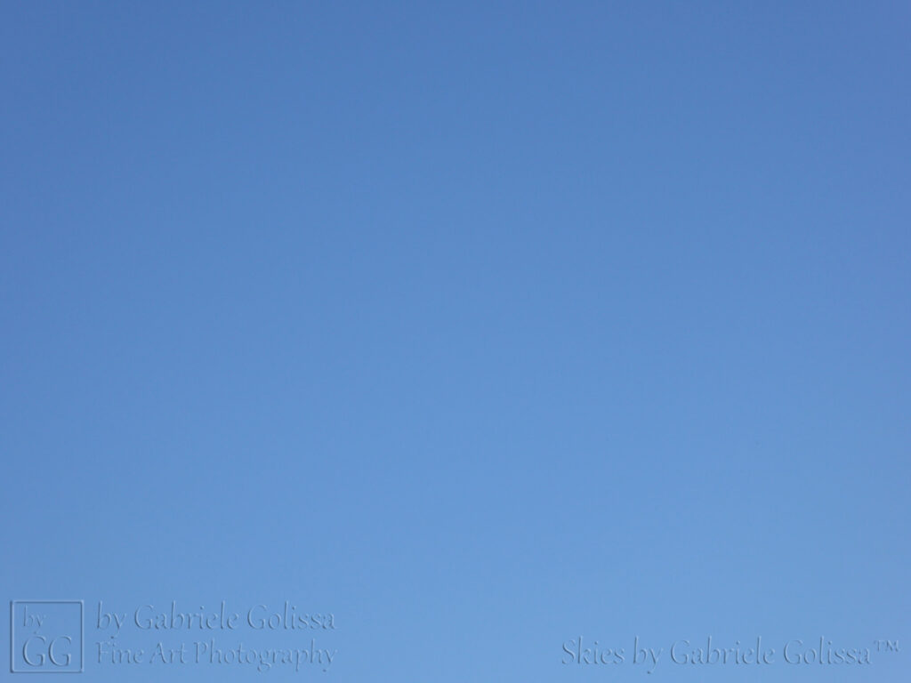 Sunny Skies