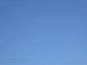Sunny Skies