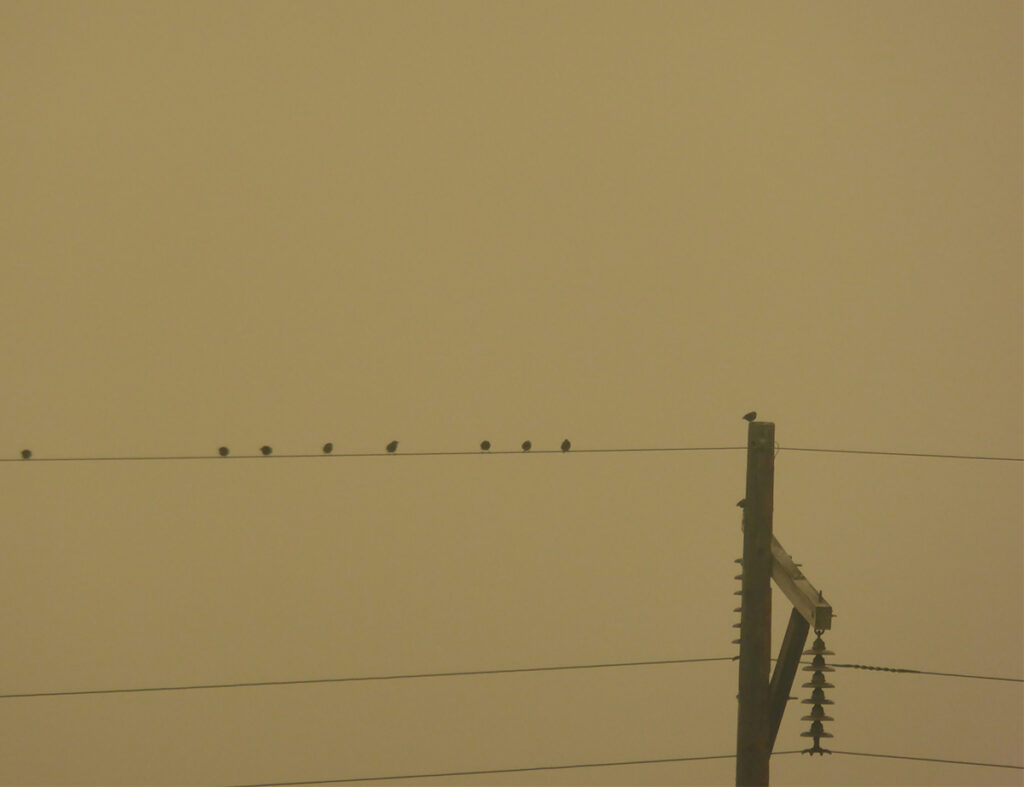 Missoula Skies Obscured by Wildfire Smoke.