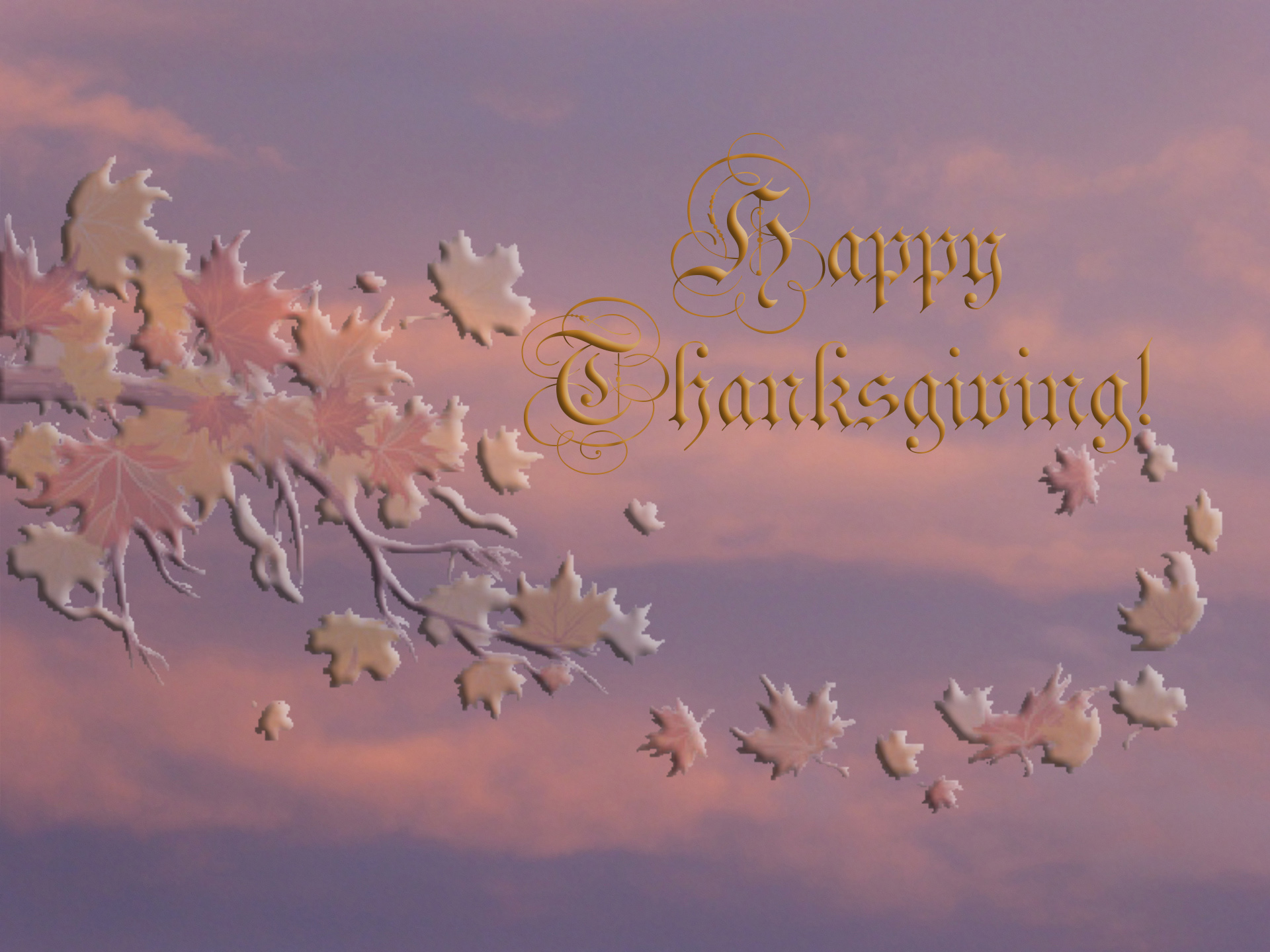 Happy Thanksgiving!