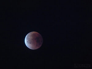 Blue Blood Moon