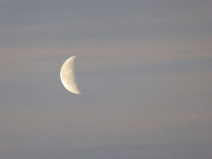 Crescent Moon