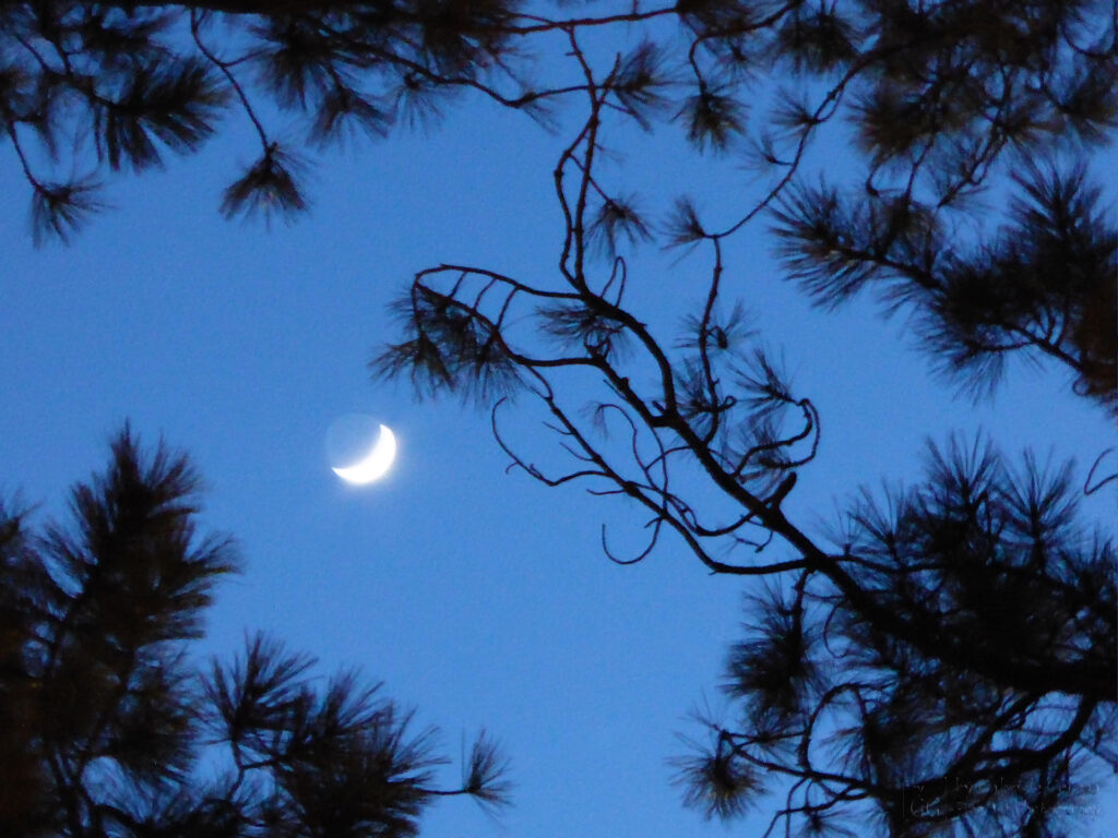Earthshine