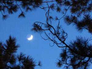 Earthshine