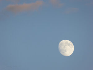July Moon