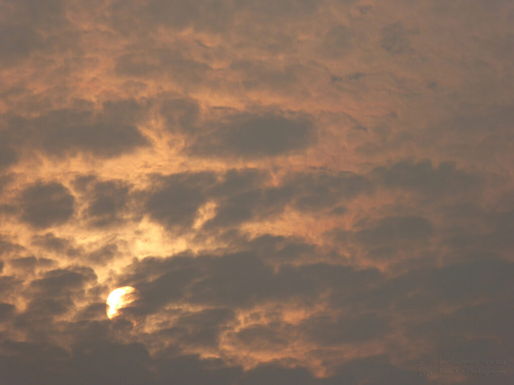 Rising Sun