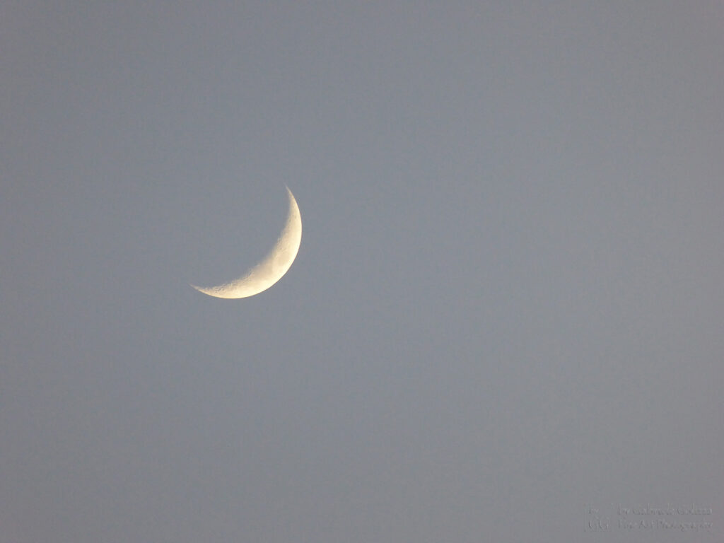Spring Moon