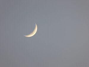 Spring Moon