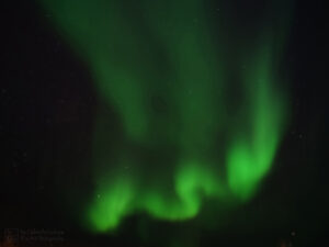 Green Dream