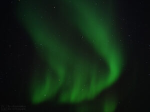 Green Fire