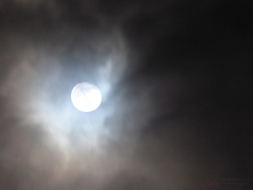 Moonlight