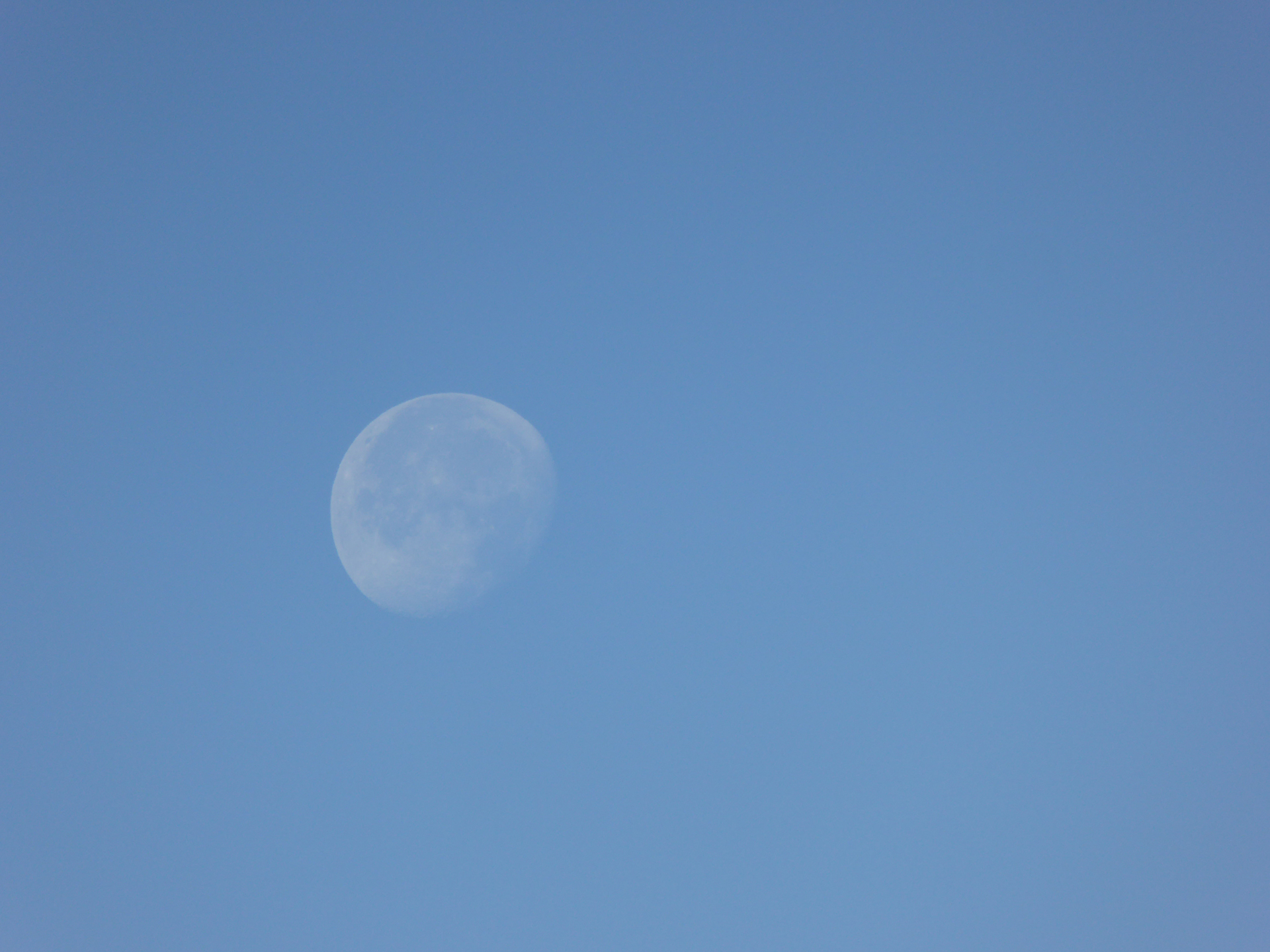 Morning Moon