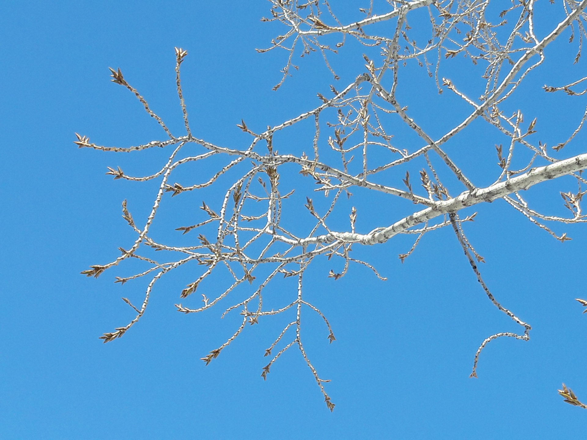 Spring is finally here!